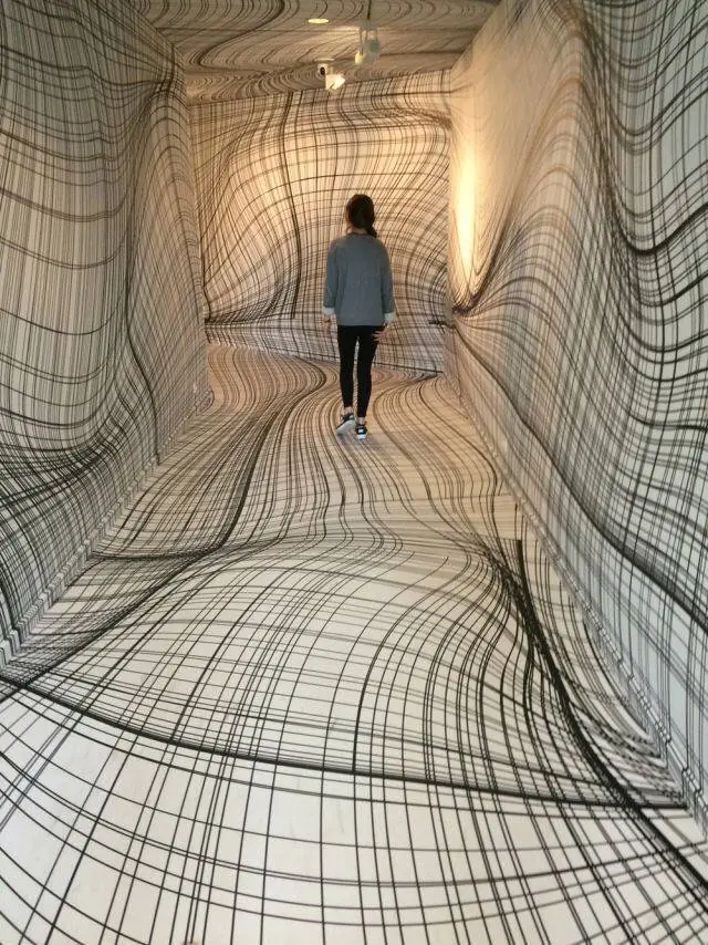 fotos