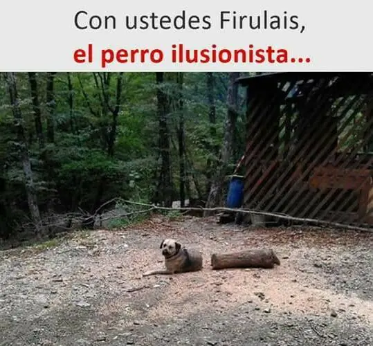 humor taringuero