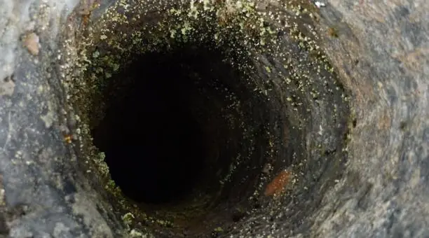 Descubren un bosque de árboles de lava en Ecuador