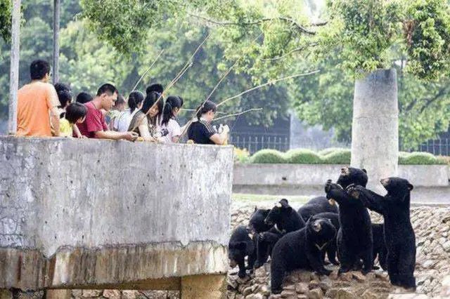 mientras tanto en china