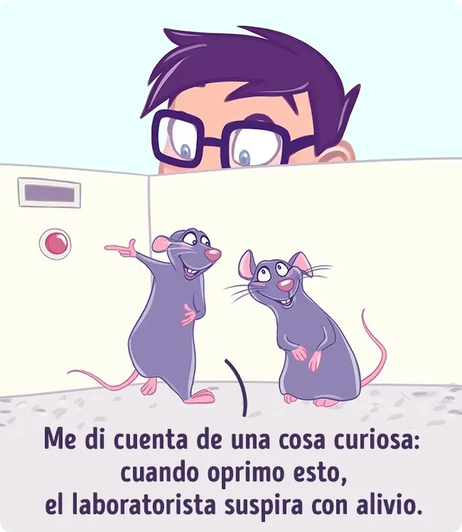 bromas