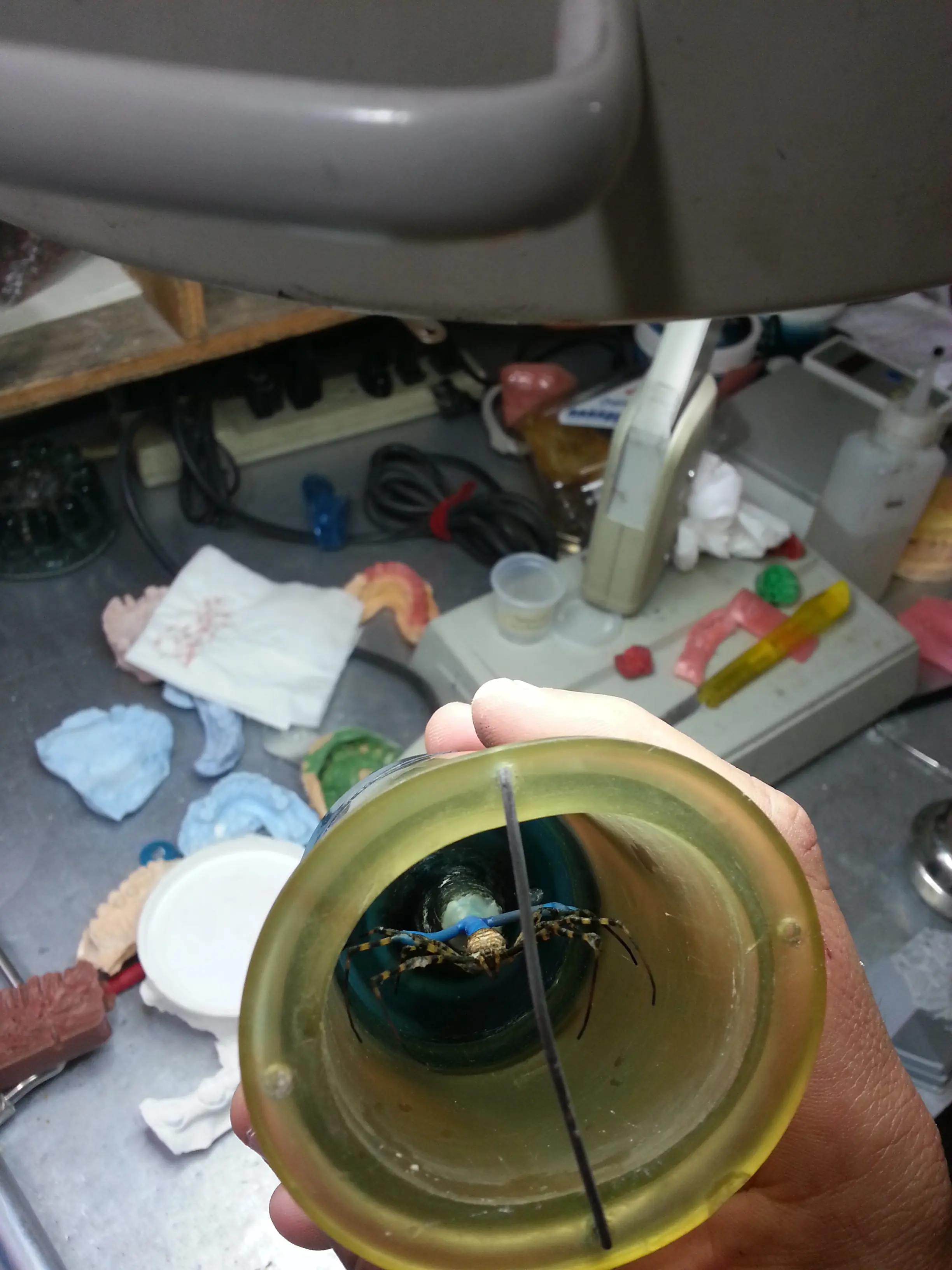 Murió mi araña y la hice de metal.