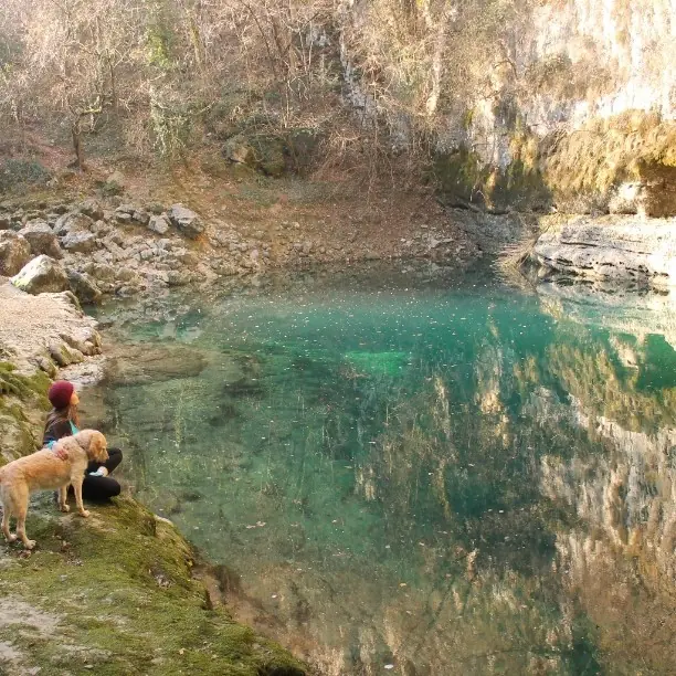 Mira lo que le hizo esta Lincesa a su furgoneta. Mira lo que le hizo esta Lincesa a su furgoneta.