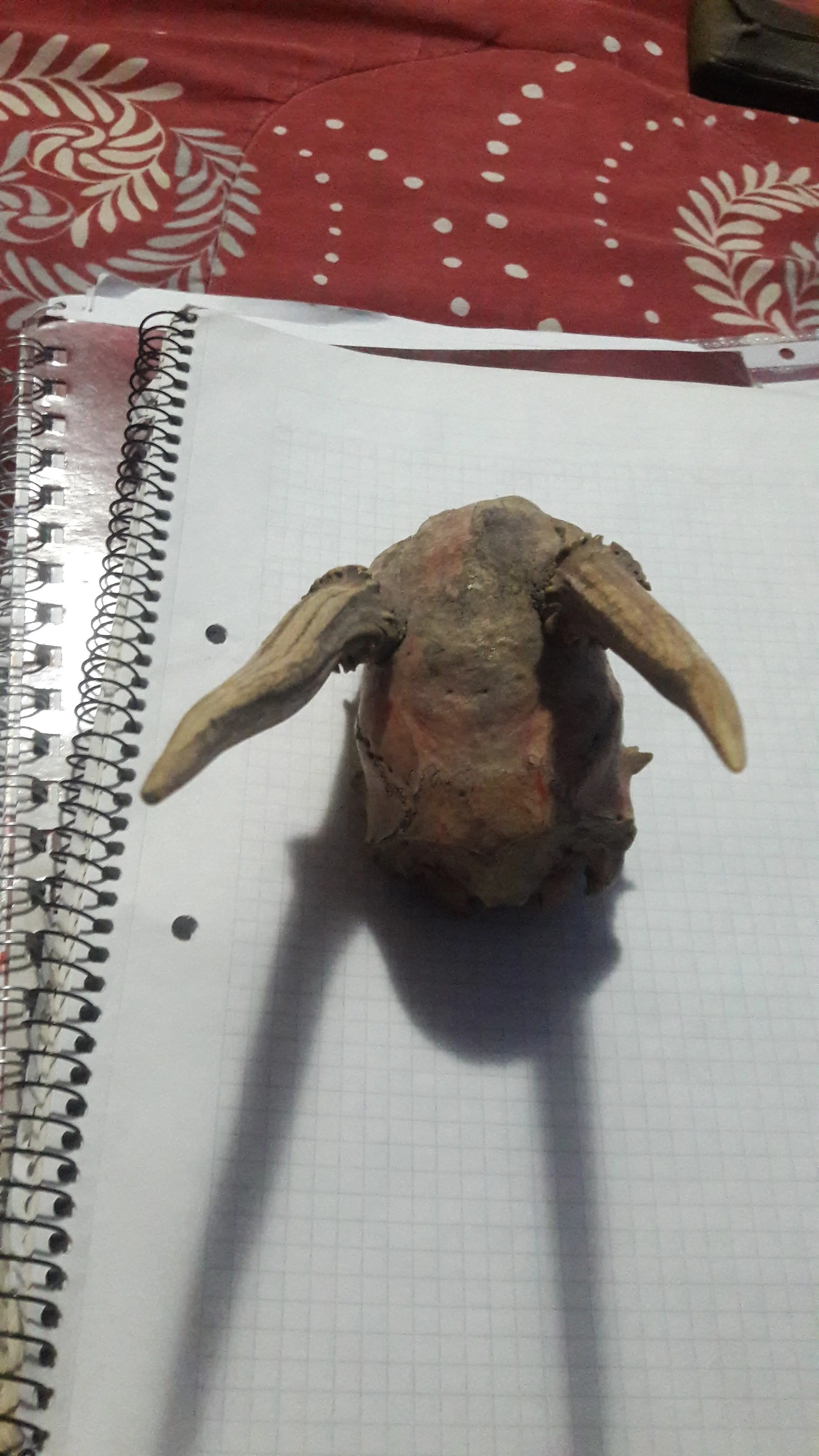 econtre
