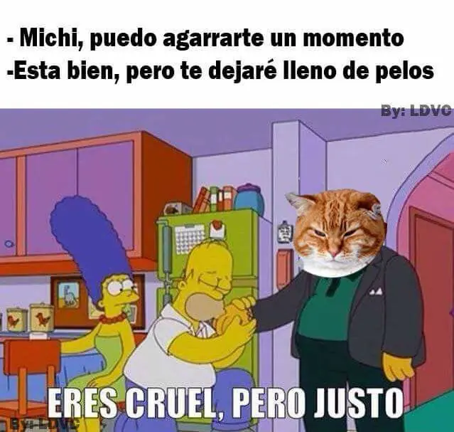 humor