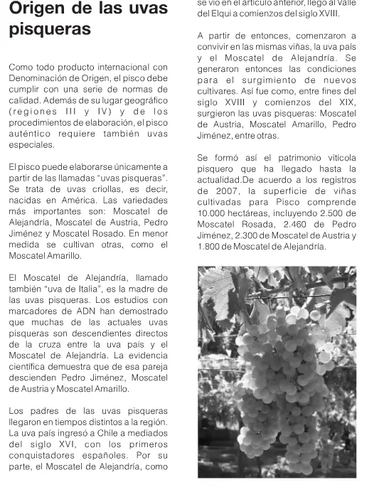 Historia del Pisco Chileno Historia del Pisco Chileno