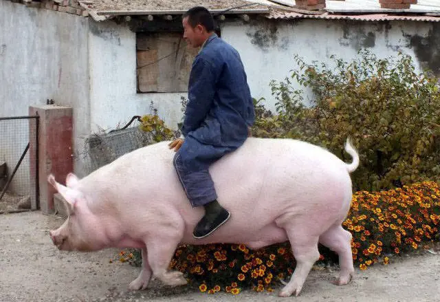 mientras tanto en china