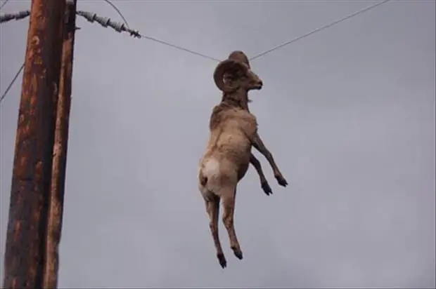 Fotos que harán que te preguntes cómo pudo haber pasado eso Fotos que harán que te preguntes cómo pudo haber pasado eso
