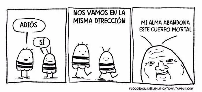 veinte