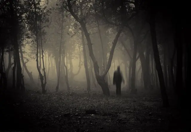 historias de terror real