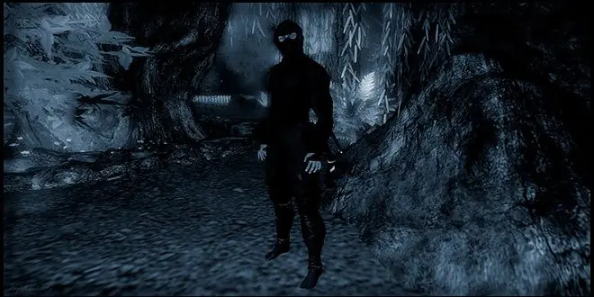 ninjas