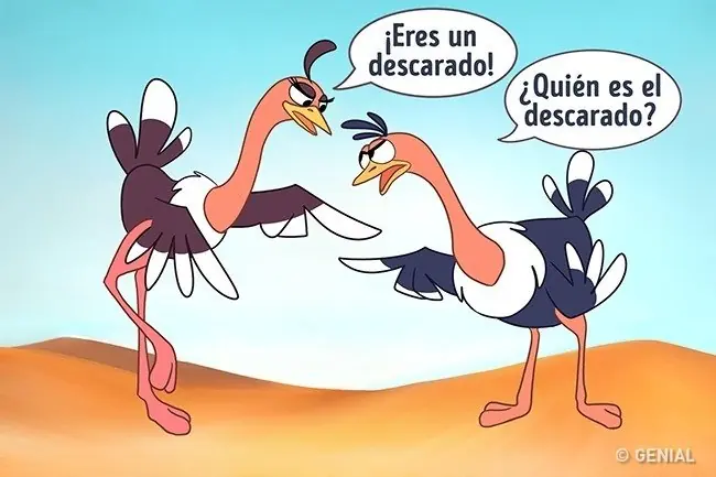 mente mente