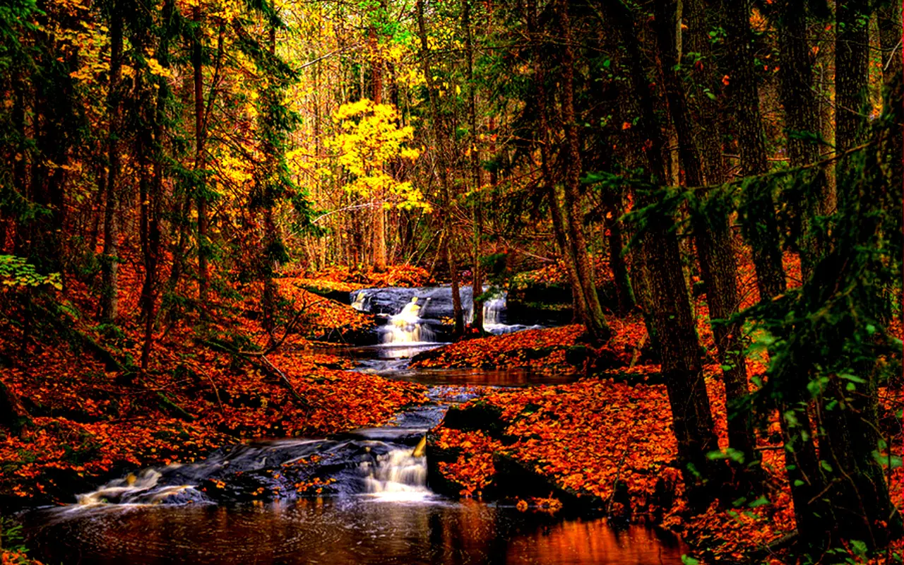 arboles