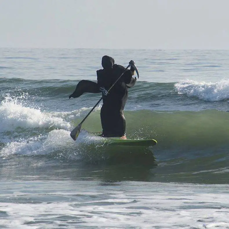 Tsunami de imágenes WTF, raras y curiosas.