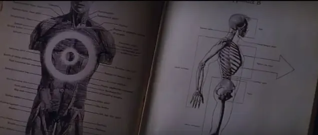 donnie donnie