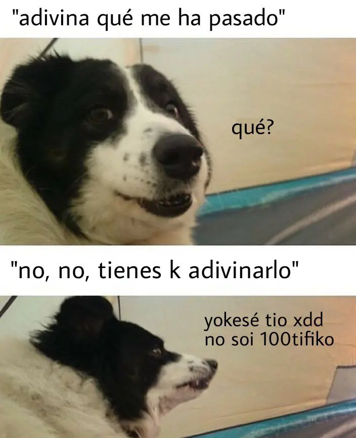 taringa
