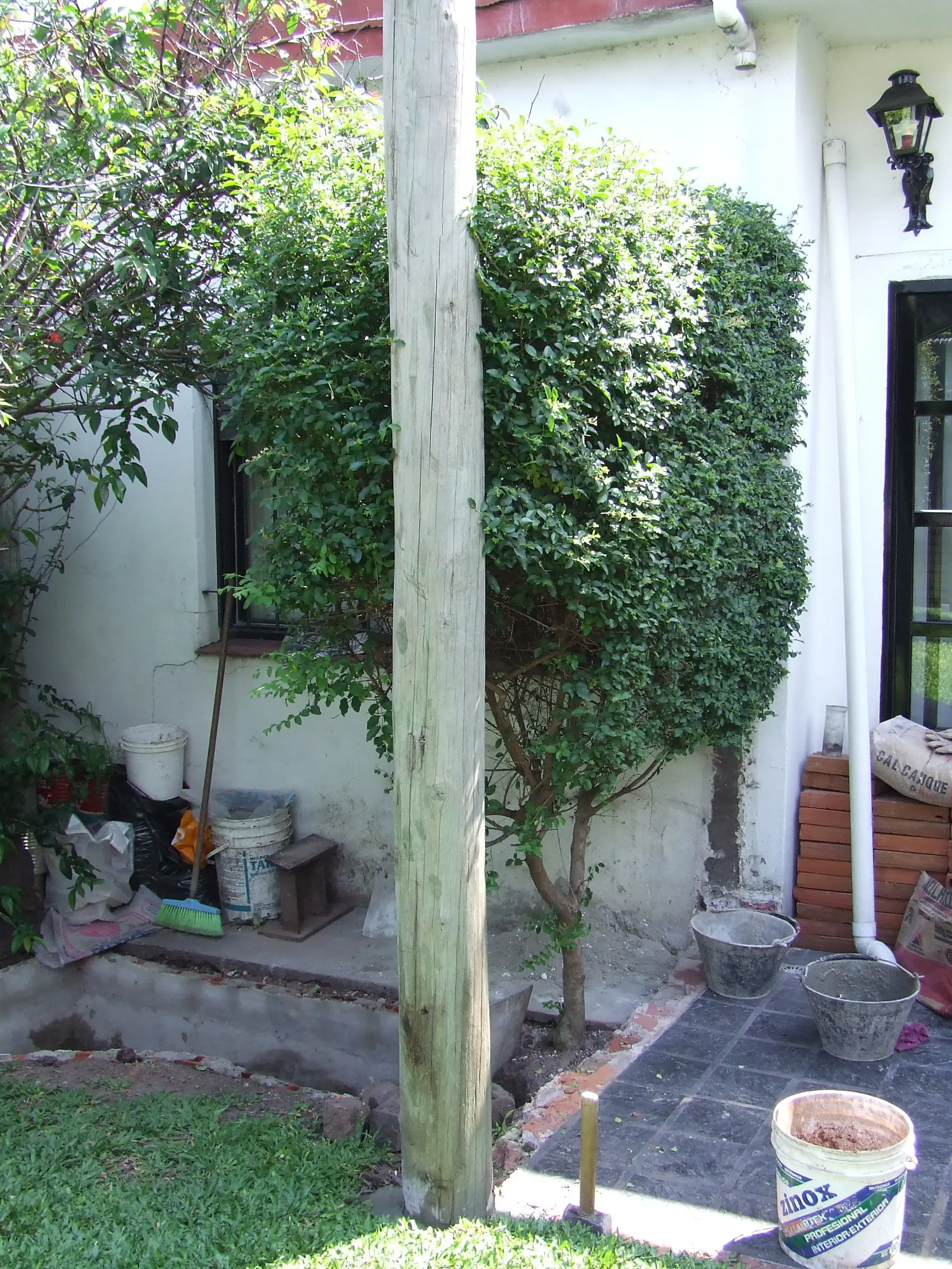 jardin