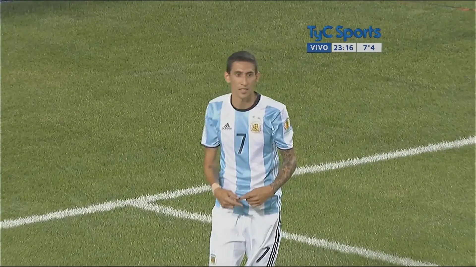 dimaria