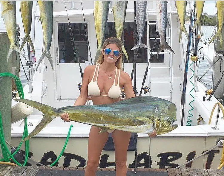 42 imágenes WTF y curiosas del día muy buenas! 42 imágenes WTF y curiosas del día muy buenas!