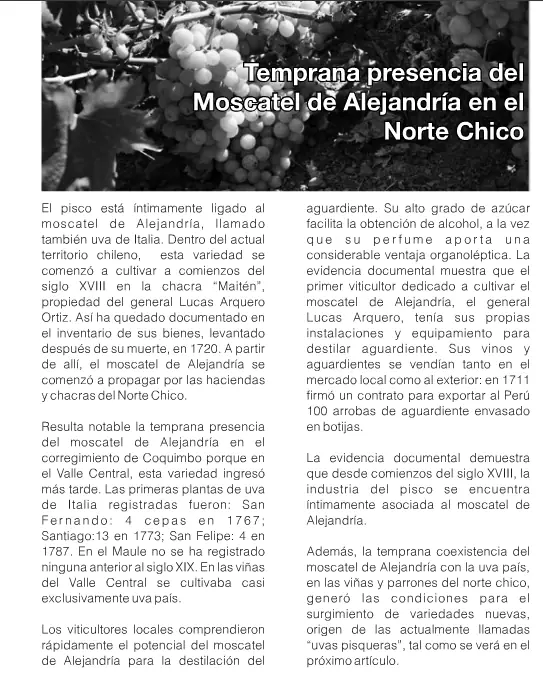 historia del pisco historia del pisco
