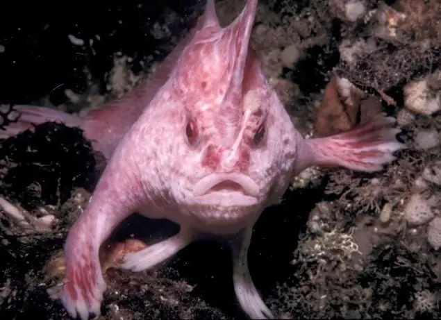 oceano