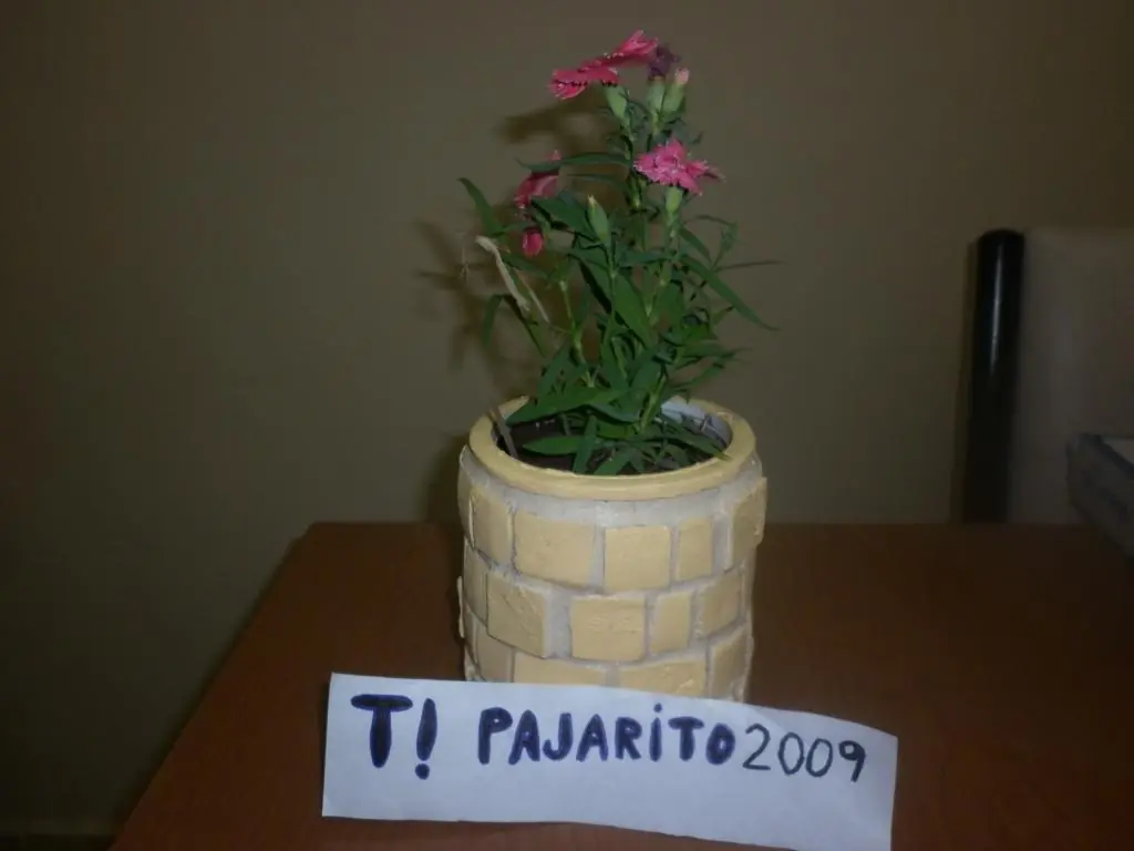 plastico