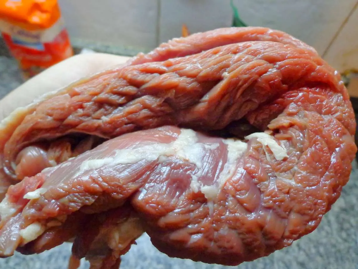carne carne