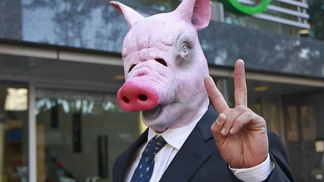 Crean el primer híbrido entre un humano y un cerdo