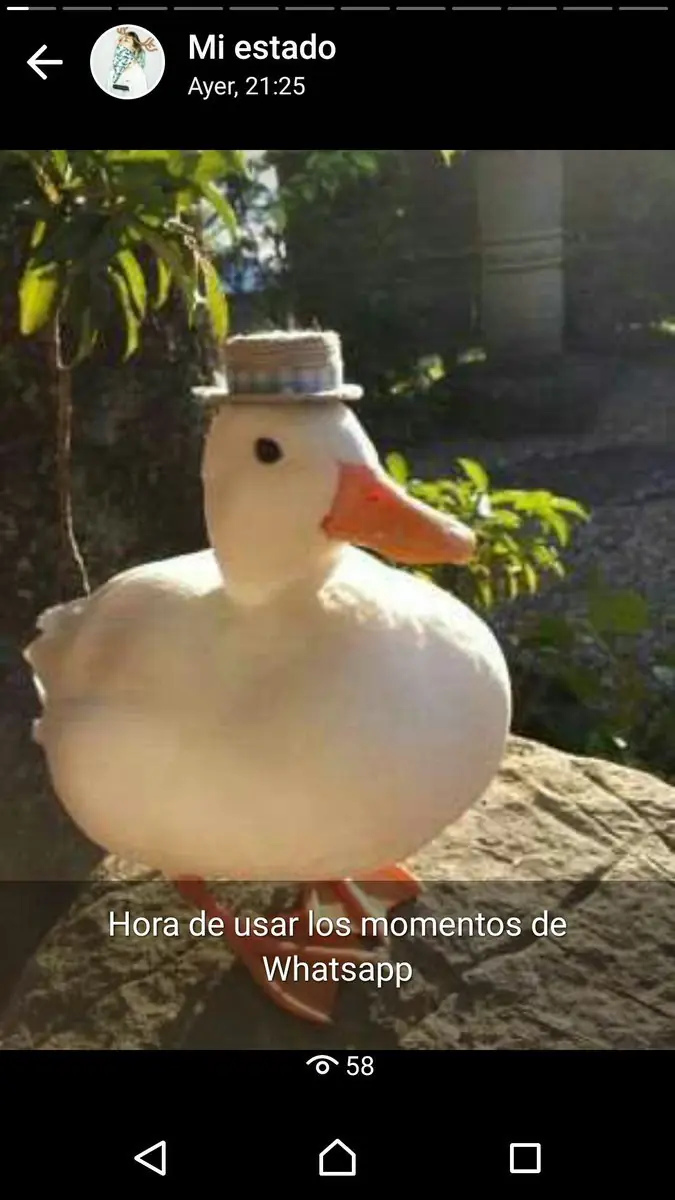 nuevo whatsapp 2017 nuevo whatsapp 2017