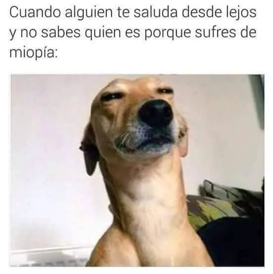 risas