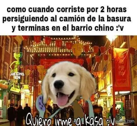memes