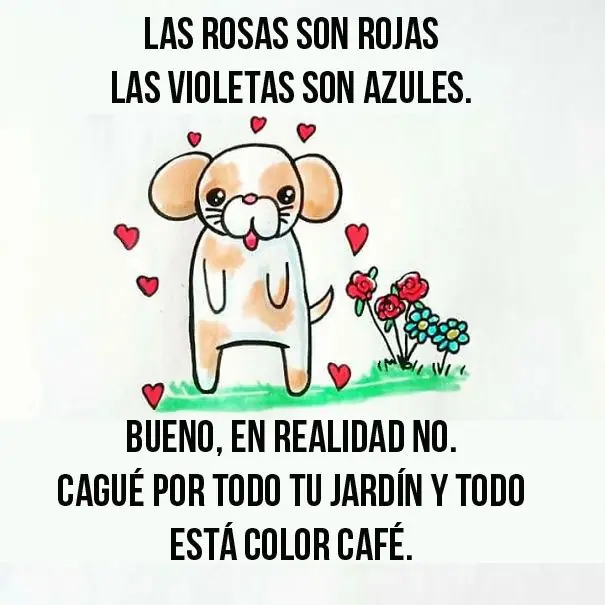 taringueros