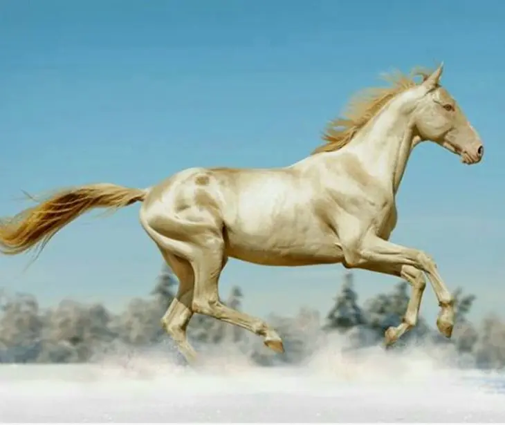 unicos