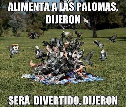 humor