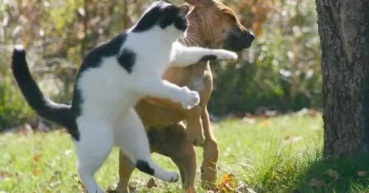 Imagenes tomadas en el momento Exacto!