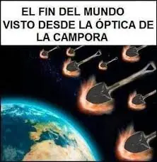gato