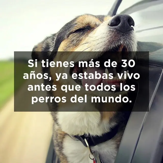 Obvias