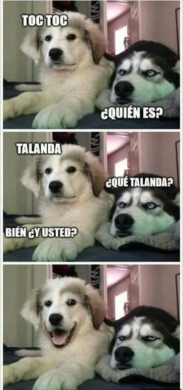 estas