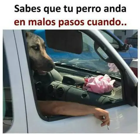 mexican memes