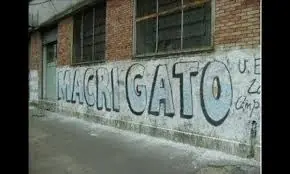 gato
