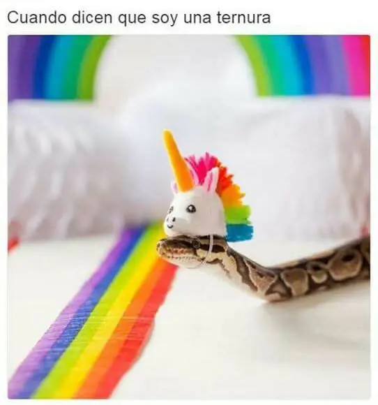 mexican humor