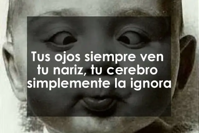 treinta
