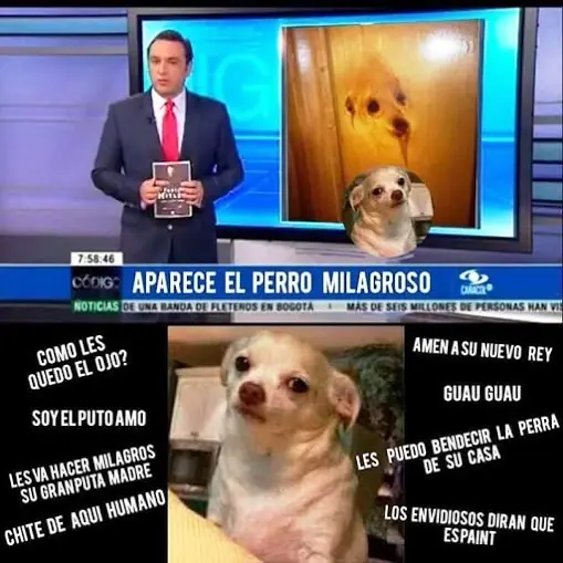 Humor e imágenes divertidas.