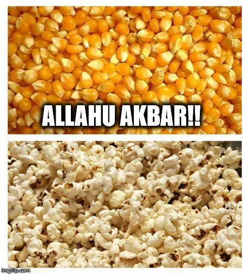 humor nocturno