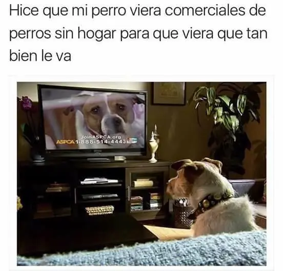 Lo mejor del humor mexicano parte 93