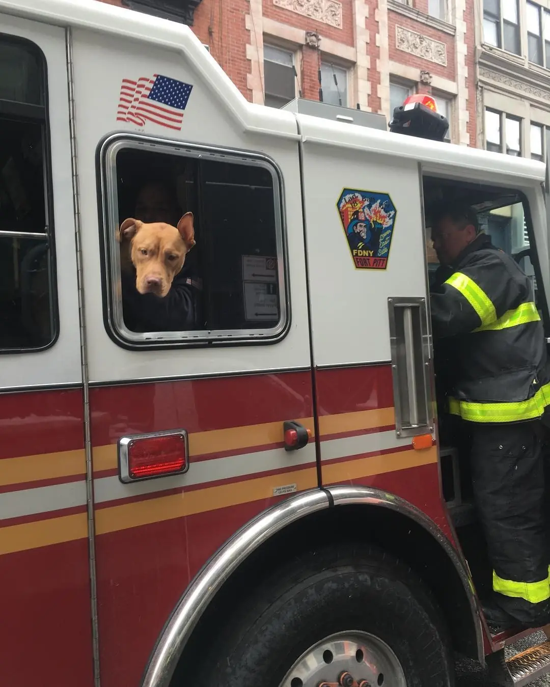 bomberos