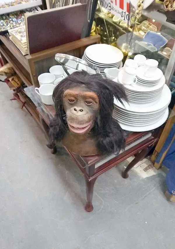 img rars