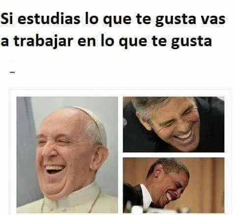 Humor para linces ponedores