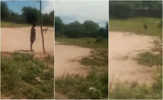 Filman a Duende que aterraba a niños en Santiago del Estero