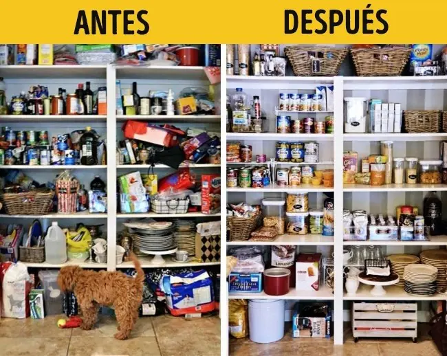 organizacion
